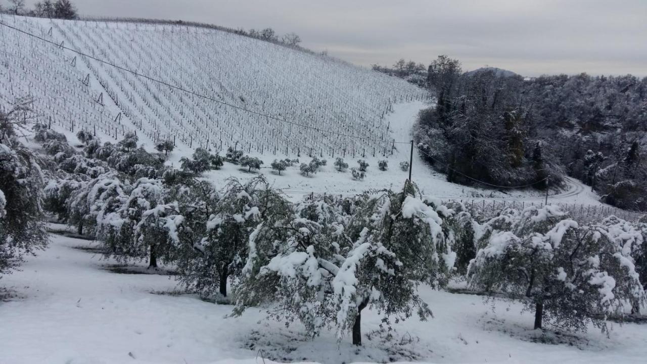Podere Riosto Cantina&Agriturismo Пианоро Екстериор снимка