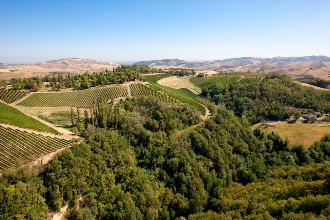 Podere Riosto Cantina&Agriturismo Пианоро Екстериор снимка
