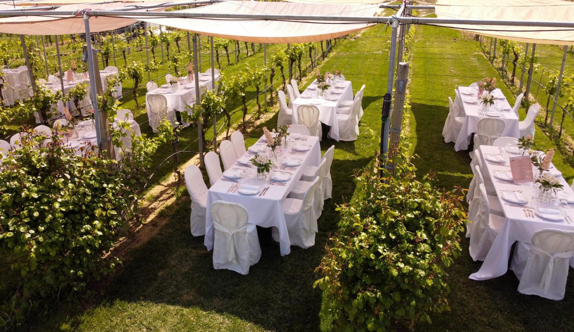 Podere Riosto Cantina&Agriturismo Пианоро Екстериор снимка