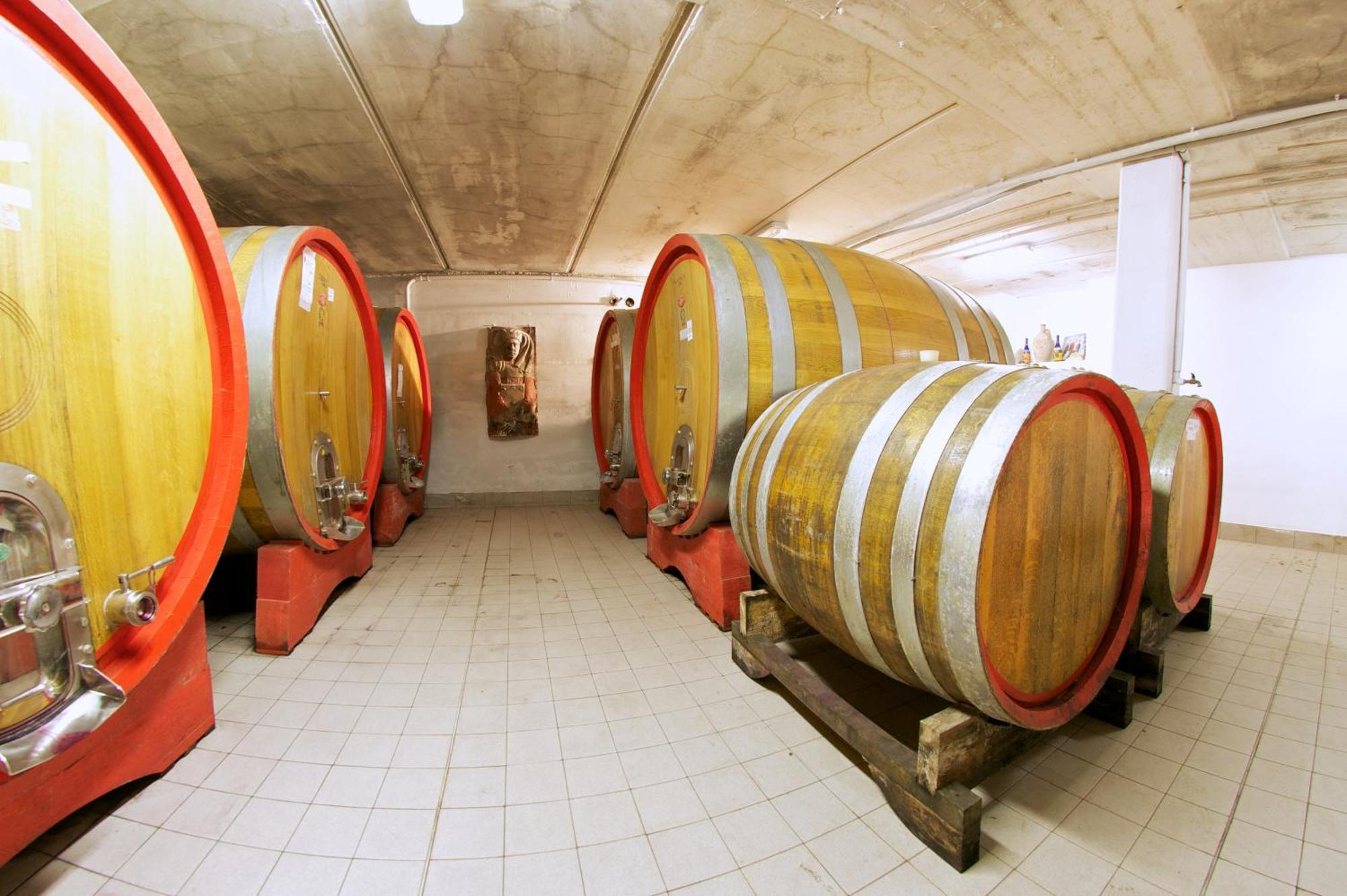 Podere Riosto Cantina&Agriturismo Пианоро Екстериор снимка