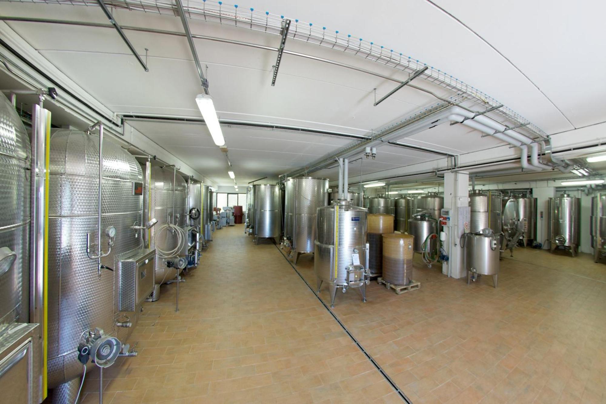 Podere Riosto Cantina&Agriturismo Пианоро Екстериор снимка