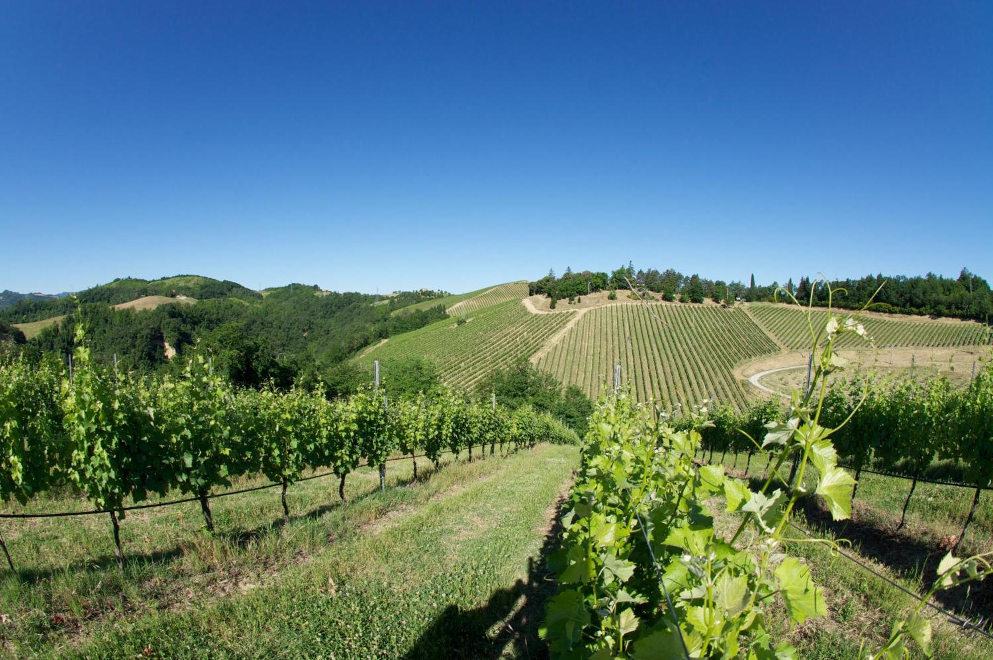 Podere Riosto Cantina&Agriturismo Пианоро Екстериор снимка