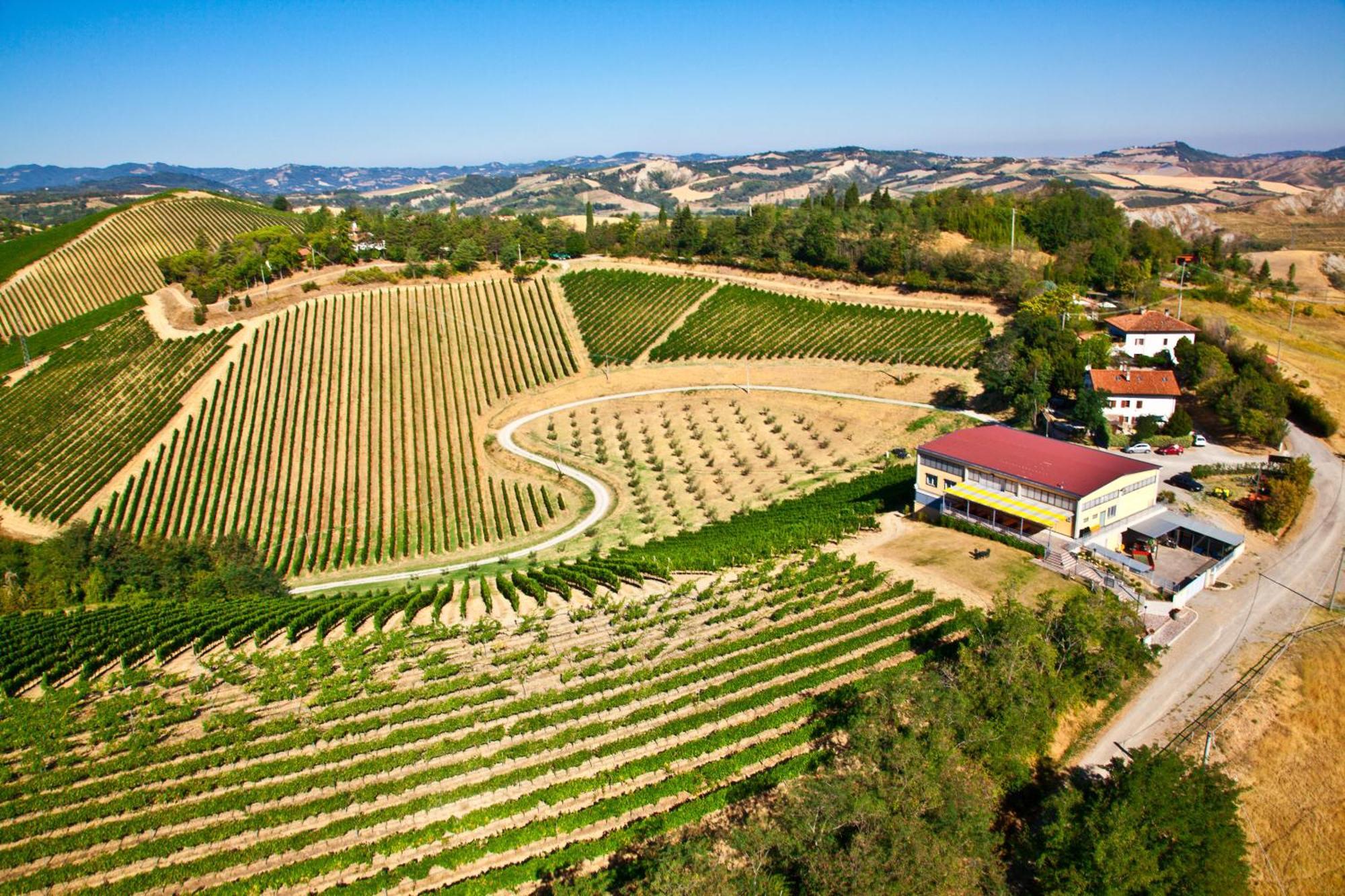 Podere Riosto Cantina&Agriturismo Пианоро Екстериор снимка